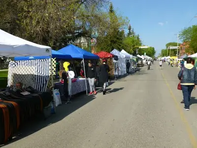 image-3650180742.webp