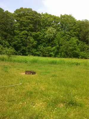 image-970244855.webp