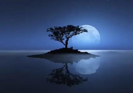 eye-catching-natural-beauty-3.webp