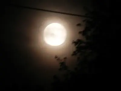 image-3934474002.webp