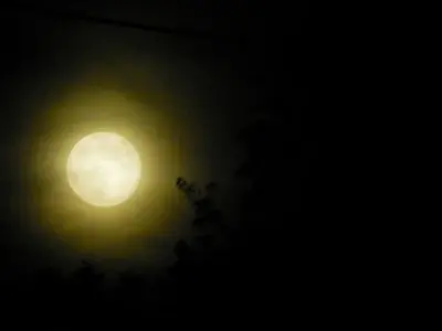 image-665346929.webp