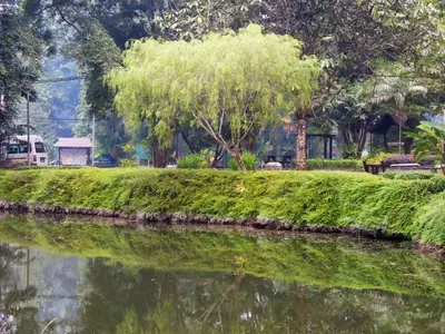 image-328605848.webp