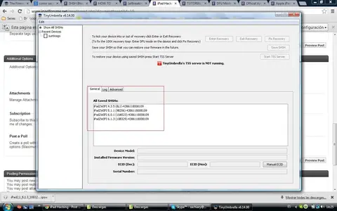 tinyumbrella.webp