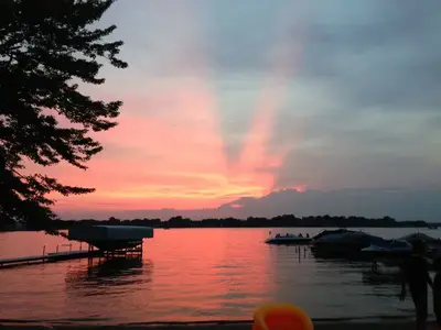 image-772494590.webp
