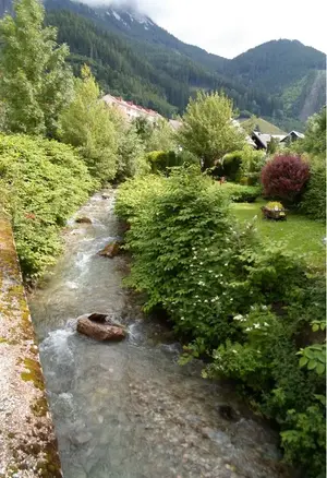 image-523842889.webp