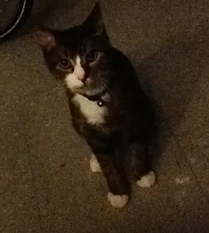 image-1606800878.webp
