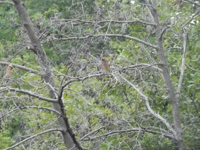 image-2905463320.webp