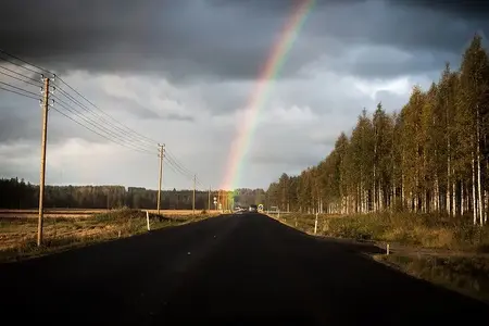 image-473758771.webp