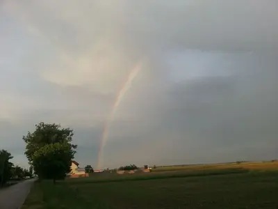image-235882182.webp
