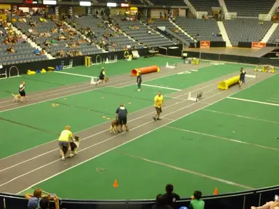 image-1680144056.webp