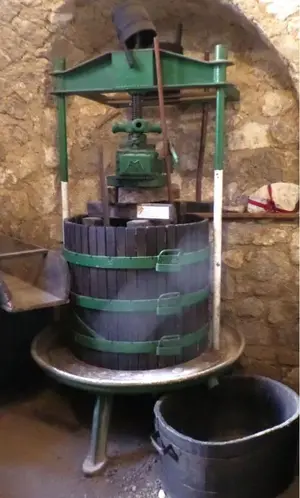 image-567106113.webp image-567106113.webp