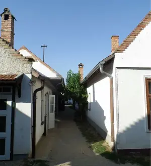 image-2560011633.webp image-2560011633.webp