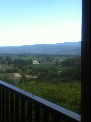 image-3922621801.webp