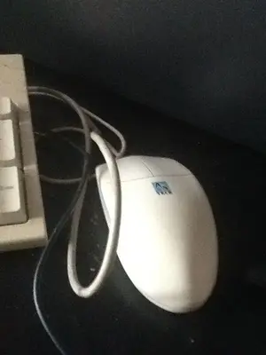 image-2734065427.webp