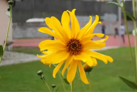 image-1148348116.webp