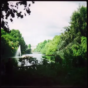 image-2462528691.webp