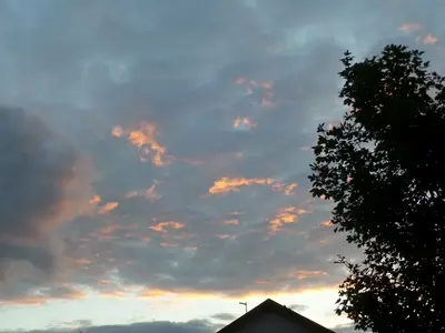 image-1801844850.webp