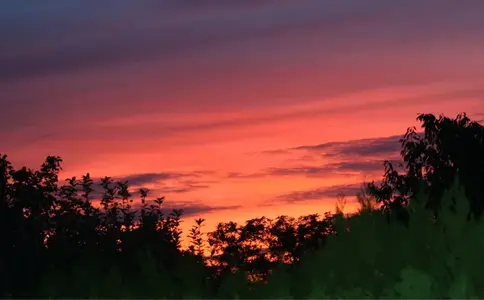 image-4088947953.webp