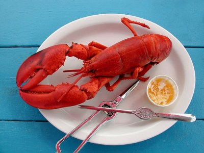 Lobster2.jpg
