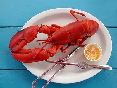 Lobster2.webp