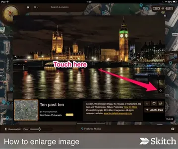 image-3141635478.webp