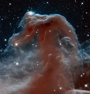 HorseheadNebula.webp