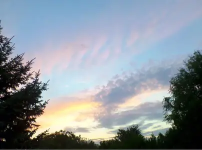 image-803075560.webp