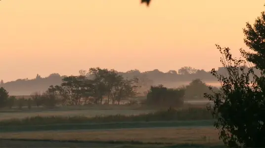 image-15756434.webp