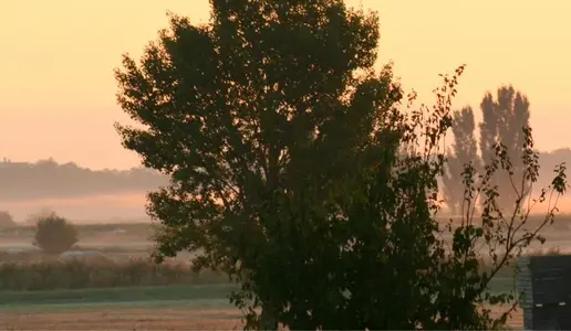 image-1250511927.webp