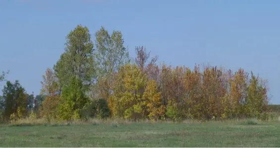 image-1526763900.webp