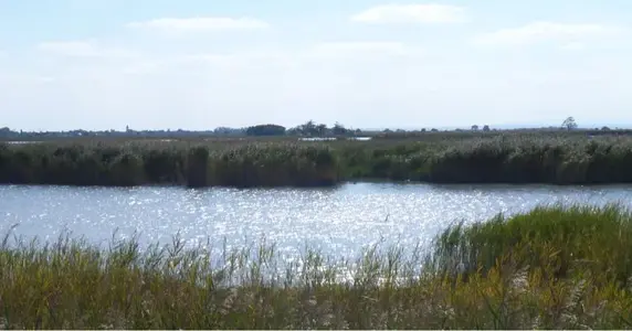 image-1285231967.webp