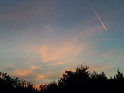 image-3885338174.webp