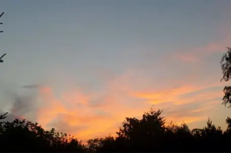 image-2836217899.webp