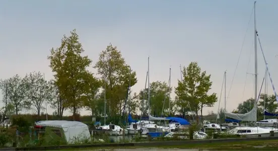 image-1210178210.webp