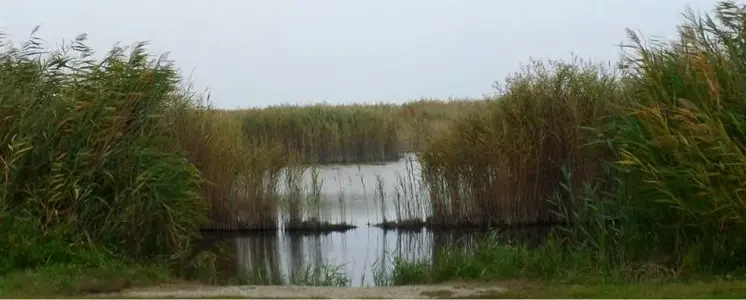 image-478139072.webp