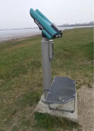 image-60295211.webp
