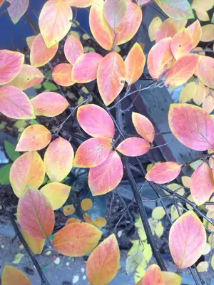 image-160561342.webp