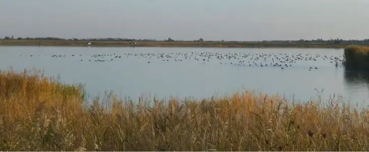 image-767295406.webp
