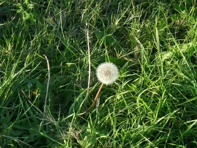 image-1284174742.webp