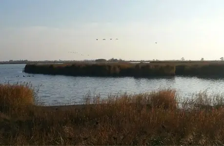 image-3113913690.webp