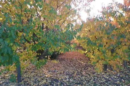 image-2654697877.webp