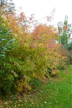 image-2965123227.webp