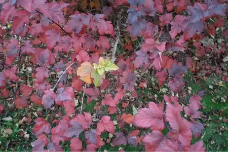 image-3815609734.webp