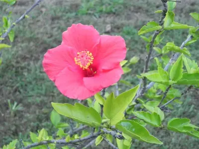 image-27029232.webp