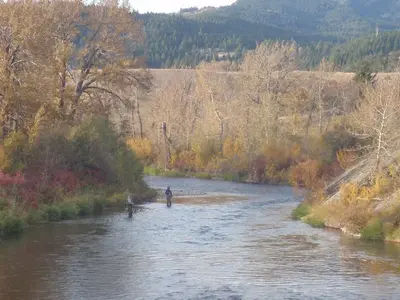 image-446273504.webp