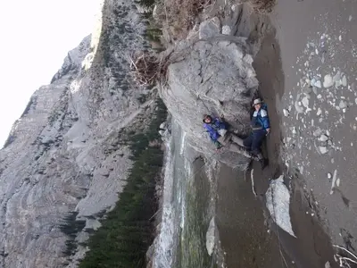 image-1144850387.webp