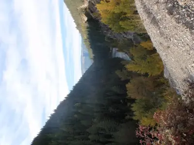 image-1017416723.webp