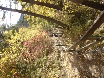 image-1938147775.webp