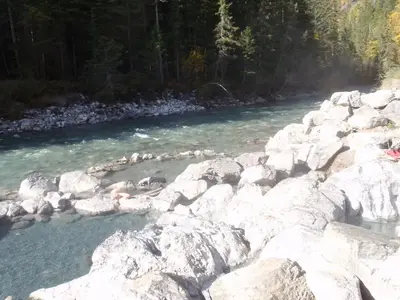 image-2650434860.webp