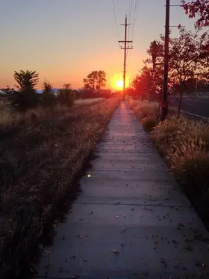 image-3121121747.webp